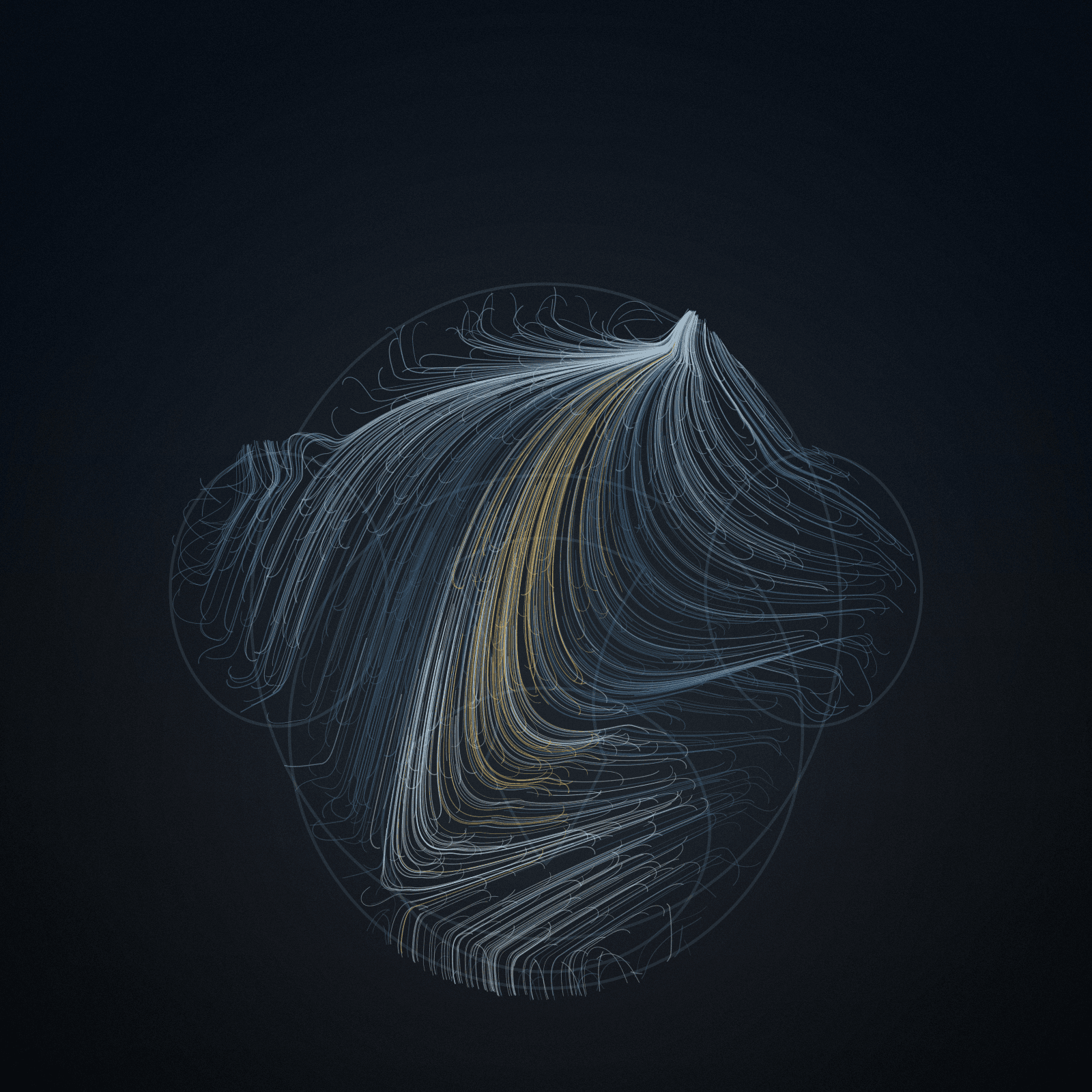 Nasalis Flow #19