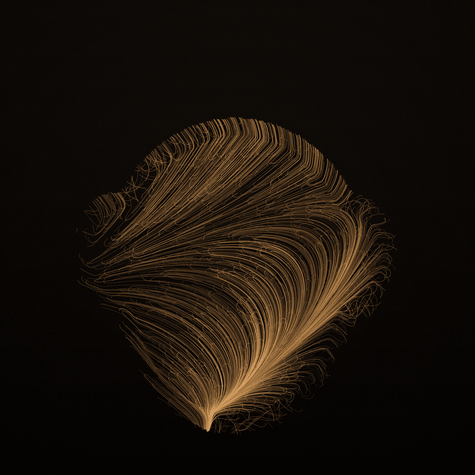 Nasalis Flow #2