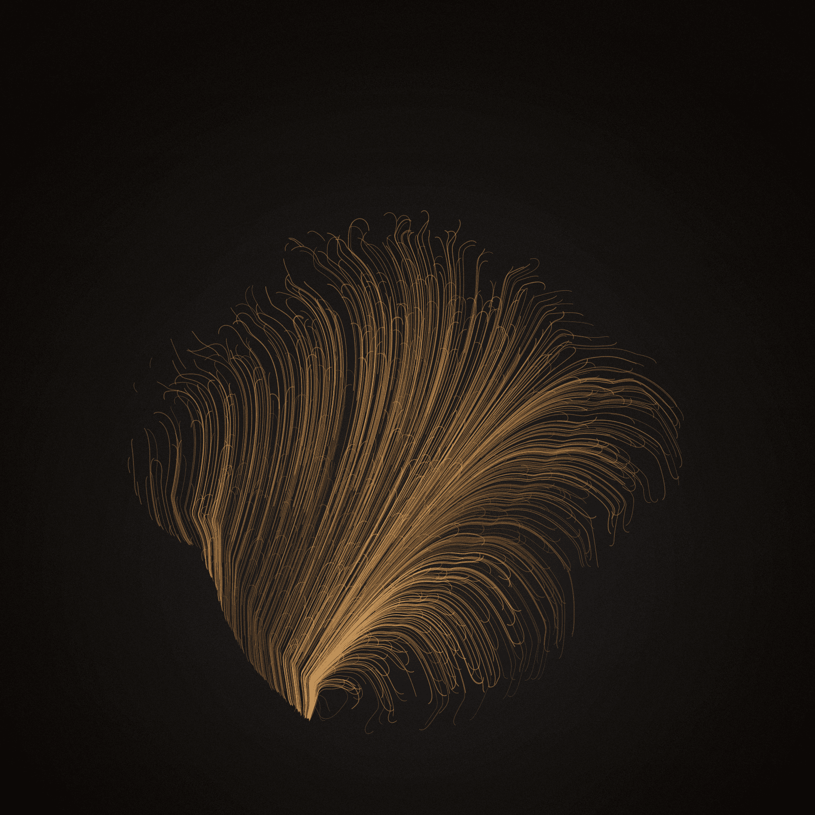 Nasalis Flow #23