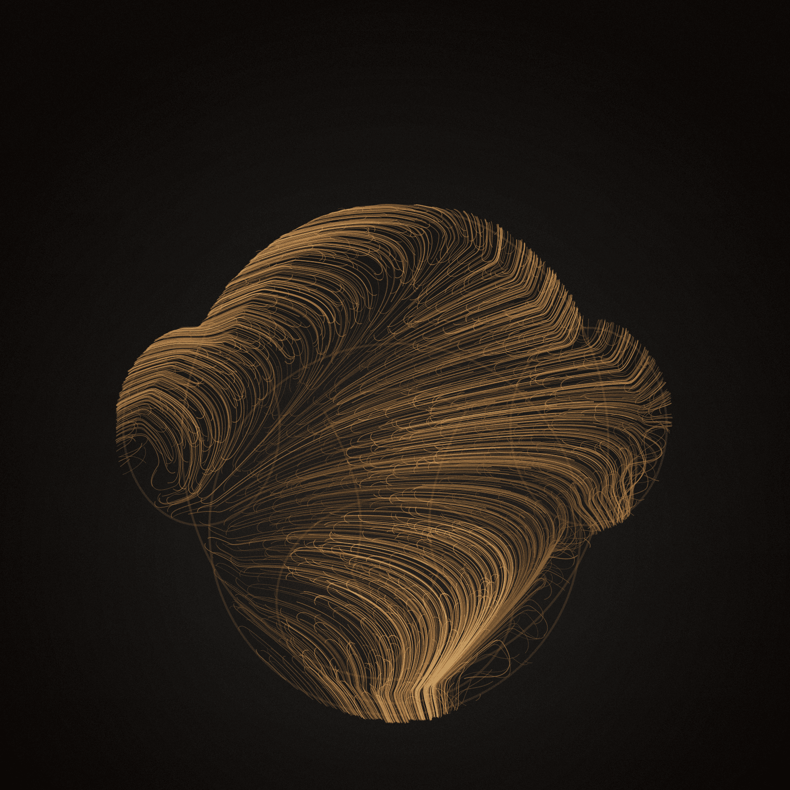 Nasalis Flow #36