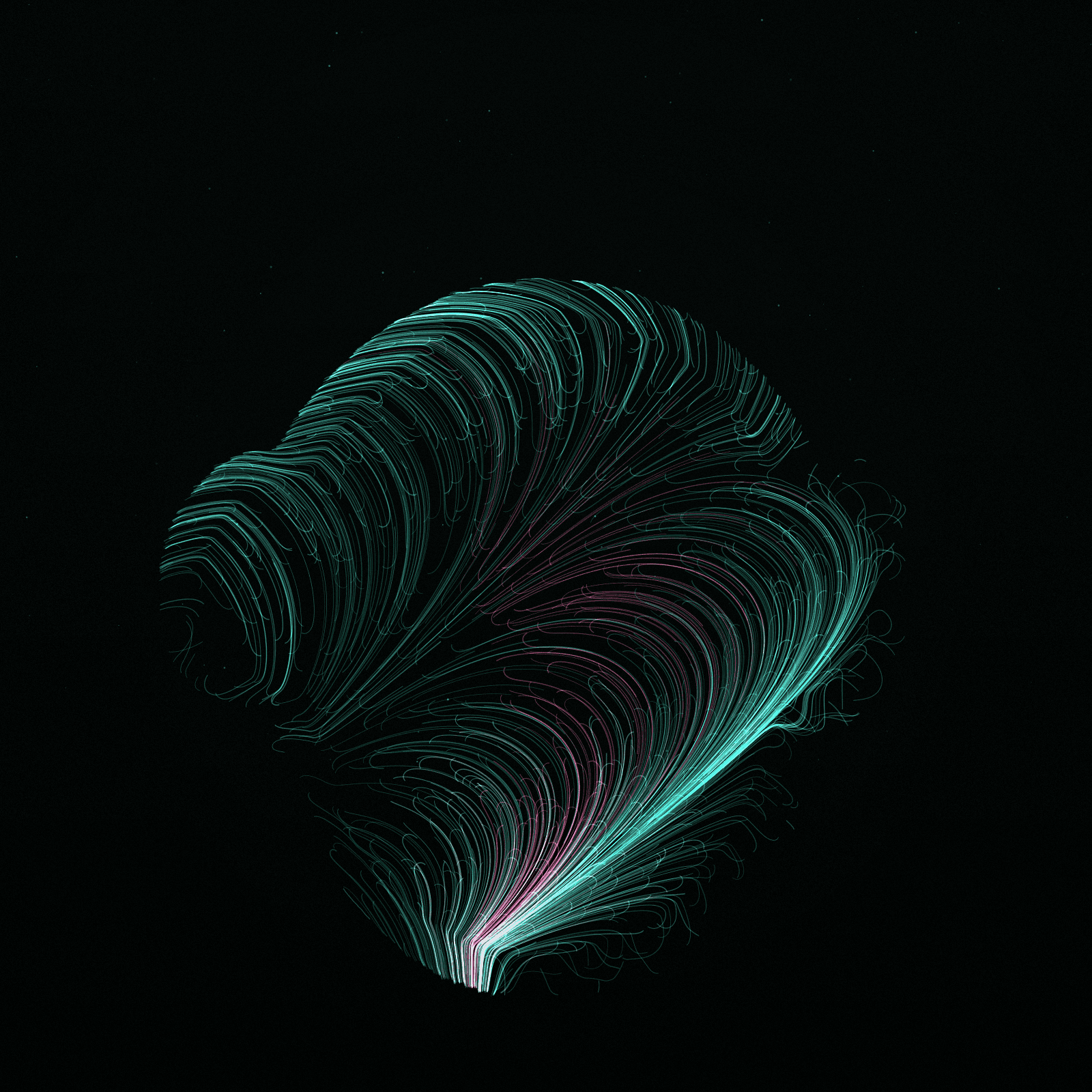 Nasalis Flow #6