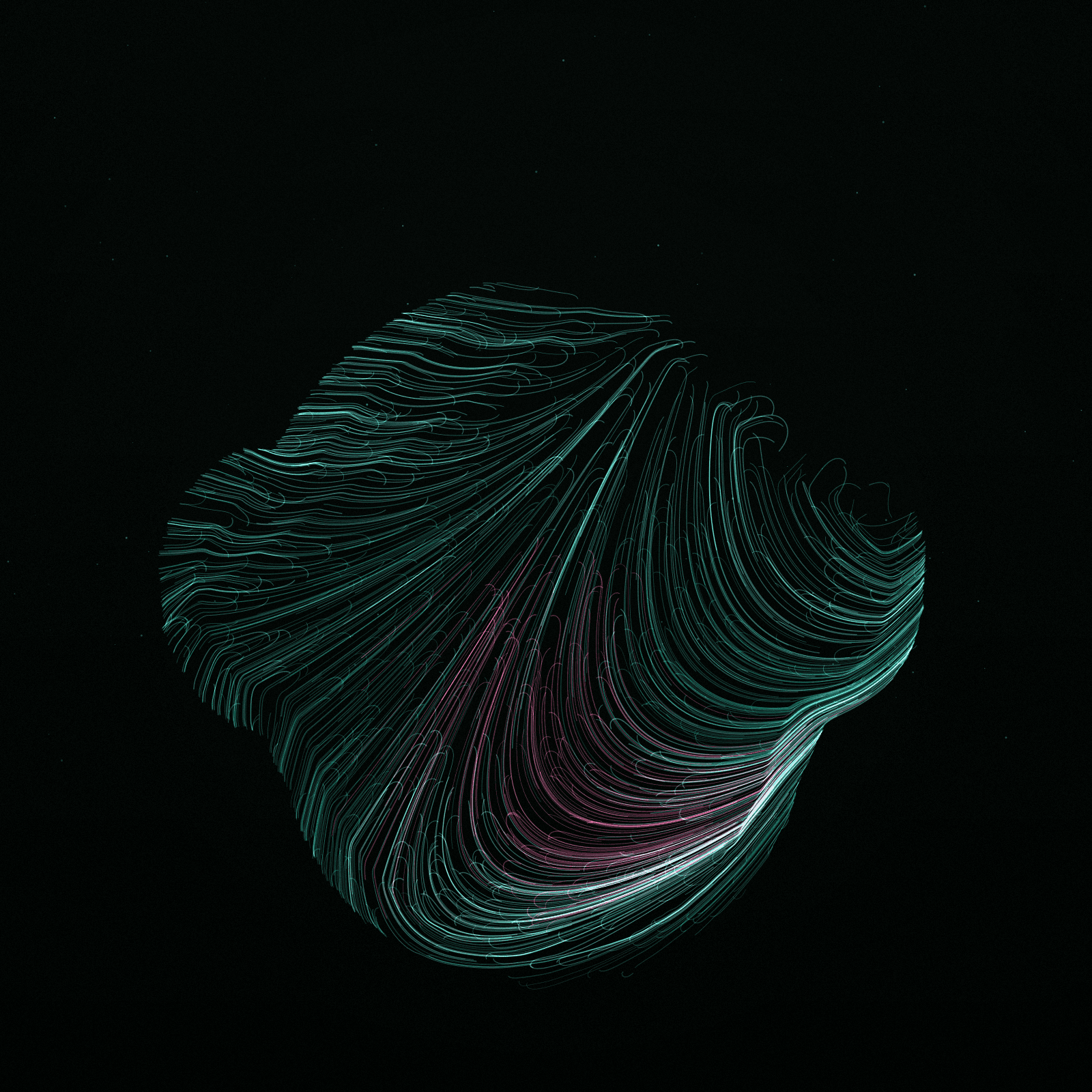 Nasalis Flow #7